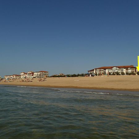La Dune D'Or - Vue Mer, Studio Face A La Plage Avec Terrasse Soorts-Hossegor Exterior photo